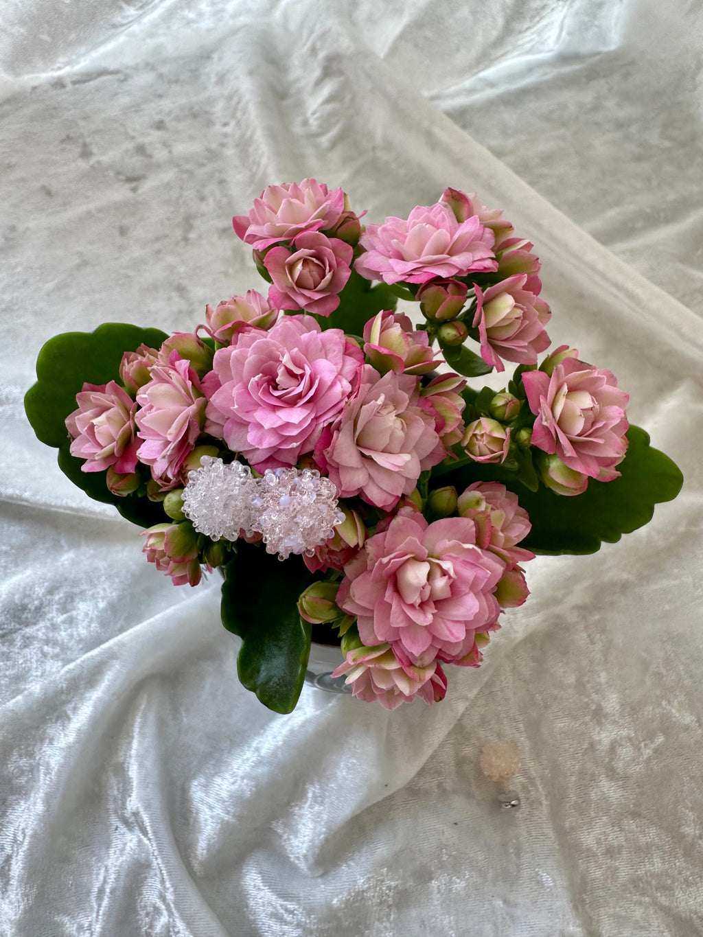 Handmade Glass Earrings