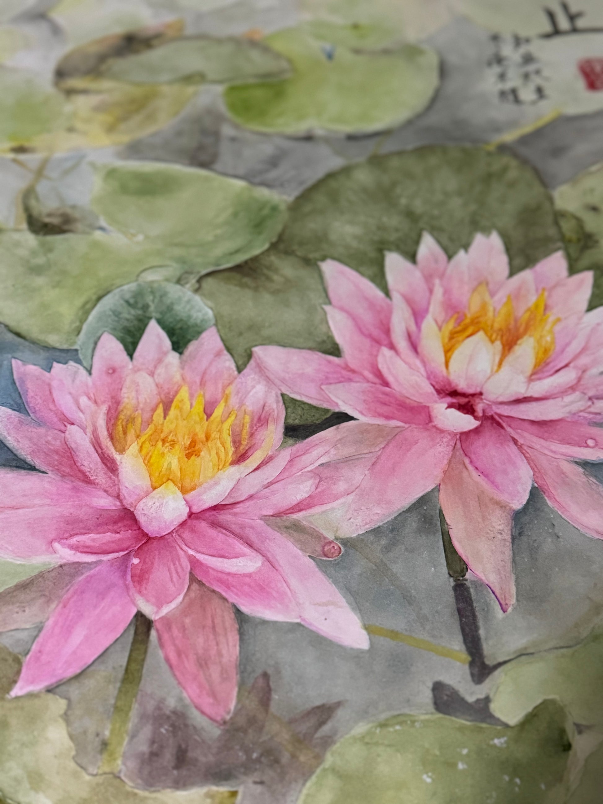 盛蓮 Lotus blossom: